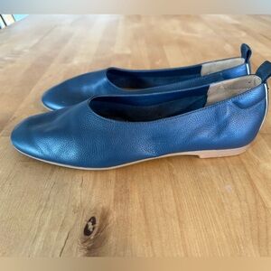 Everlane Day Glove Flats in Navy Blue (Size 7.5)